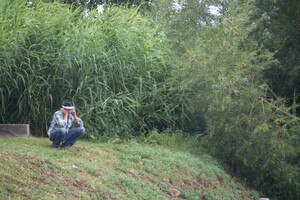 2013 WSV Boxmeer 35-jarig bestaan